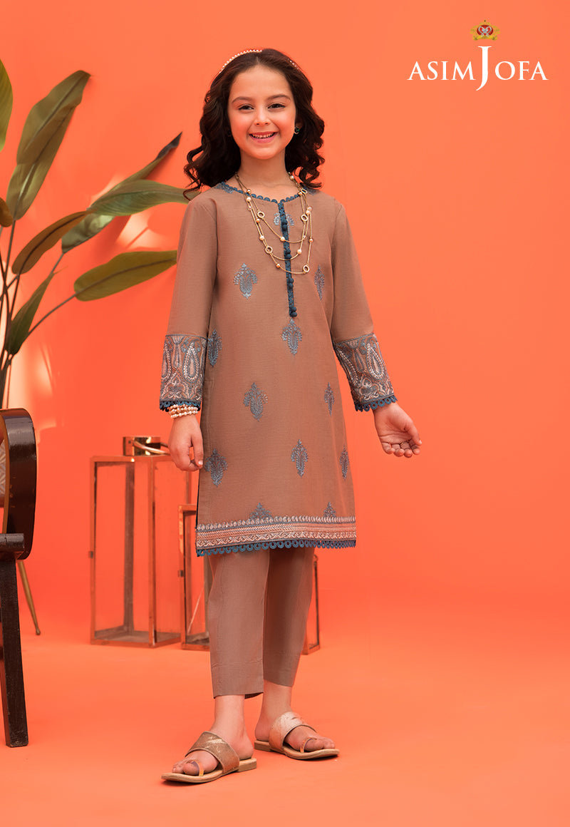 Pakistani Brown Embroidered Cambric Salwar Kameez (2-Piece) - Image 4