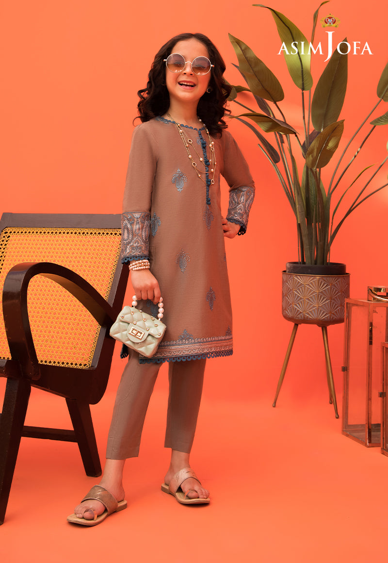 Pakistani Brown Embroidered Cambric Salwar Kameez (2-Piece) - Image 7