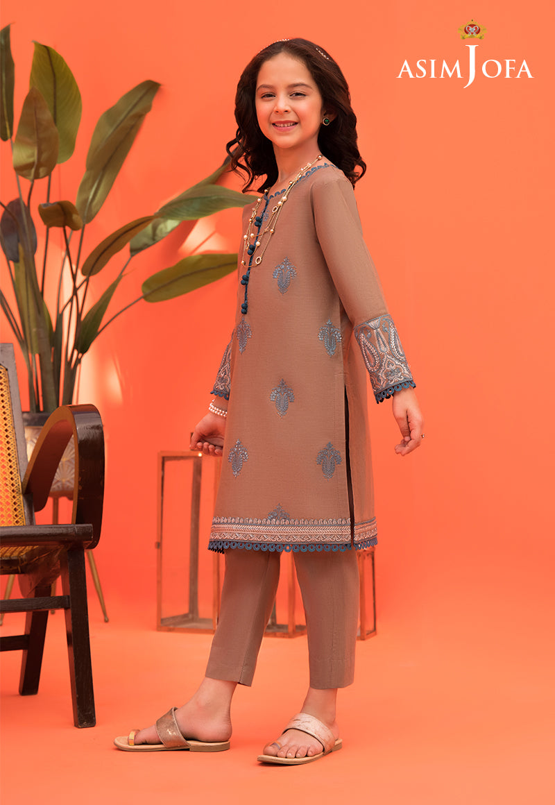Pakistani Brown Embroidered Cambric Salwar Kameez (2-Piece) - Image 8