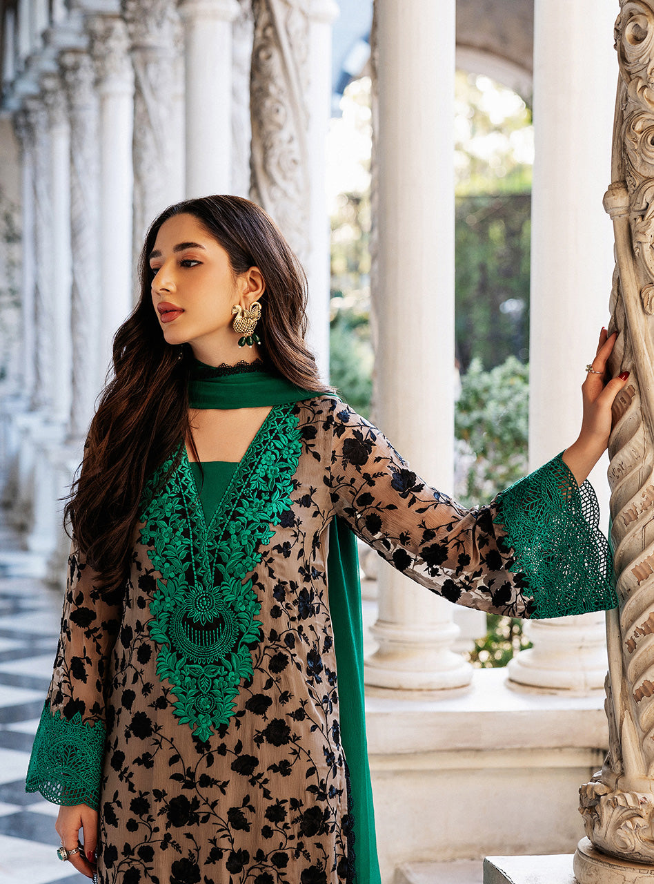 Coffee Embroidered Chiffon Salwar Kameez (3-Piece) - Image 2