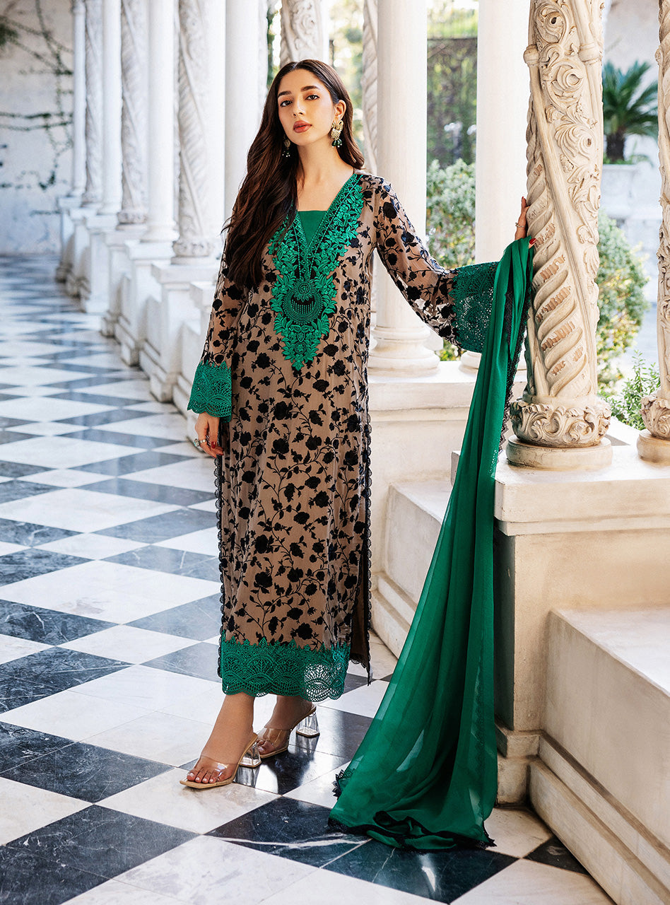 Coffee Embroidered Chiffon Salwar Kameez (3-Piece) - Image 4