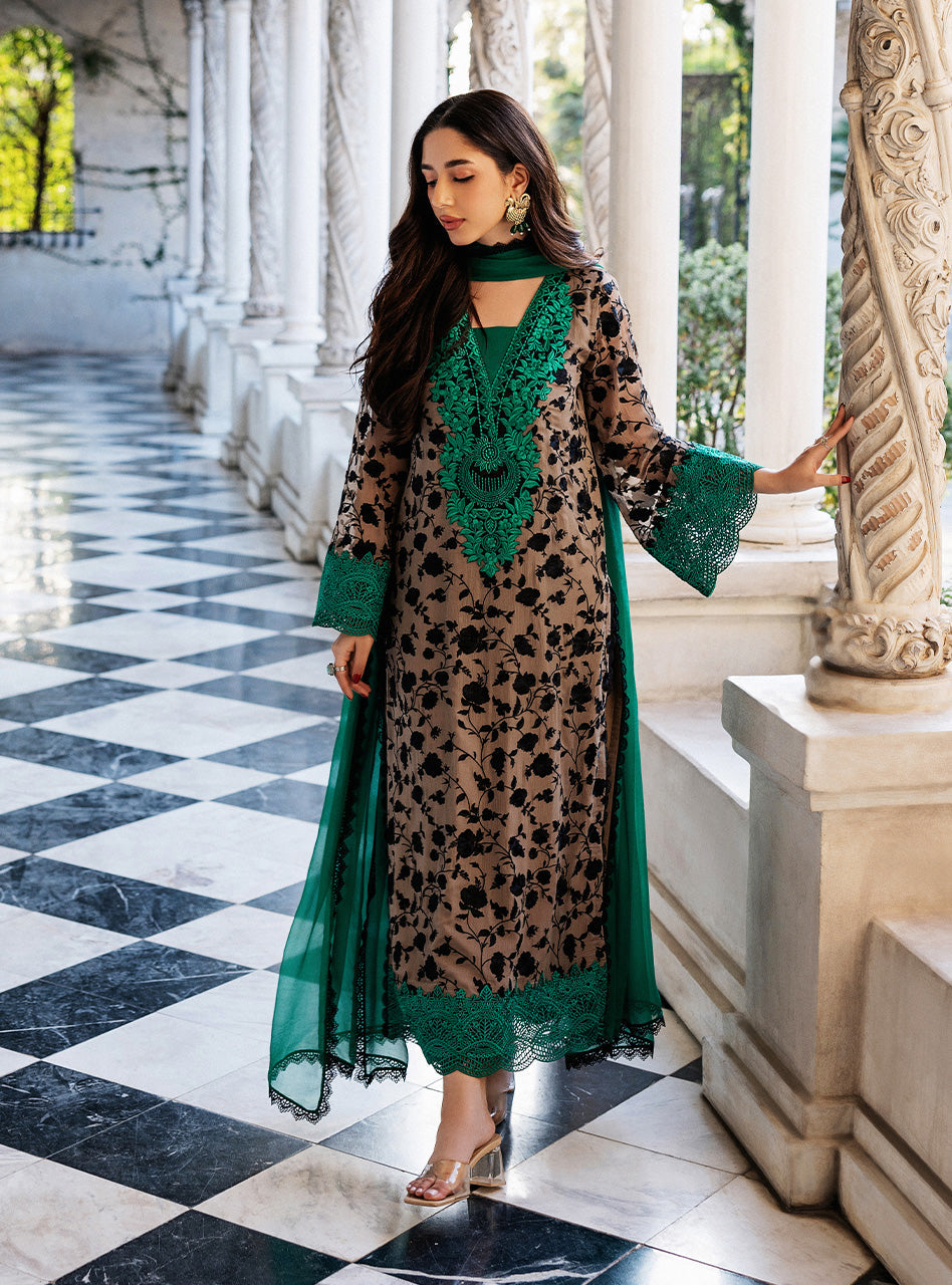 Pakistani Coffee Embroidered Chiffon Salwar Kameez (3-Piece) - Image 4