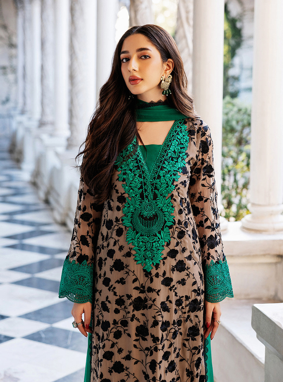 Pakistani Coffee Embroidered Chiffon Salwar Kameez (3-Piece) - Image 6