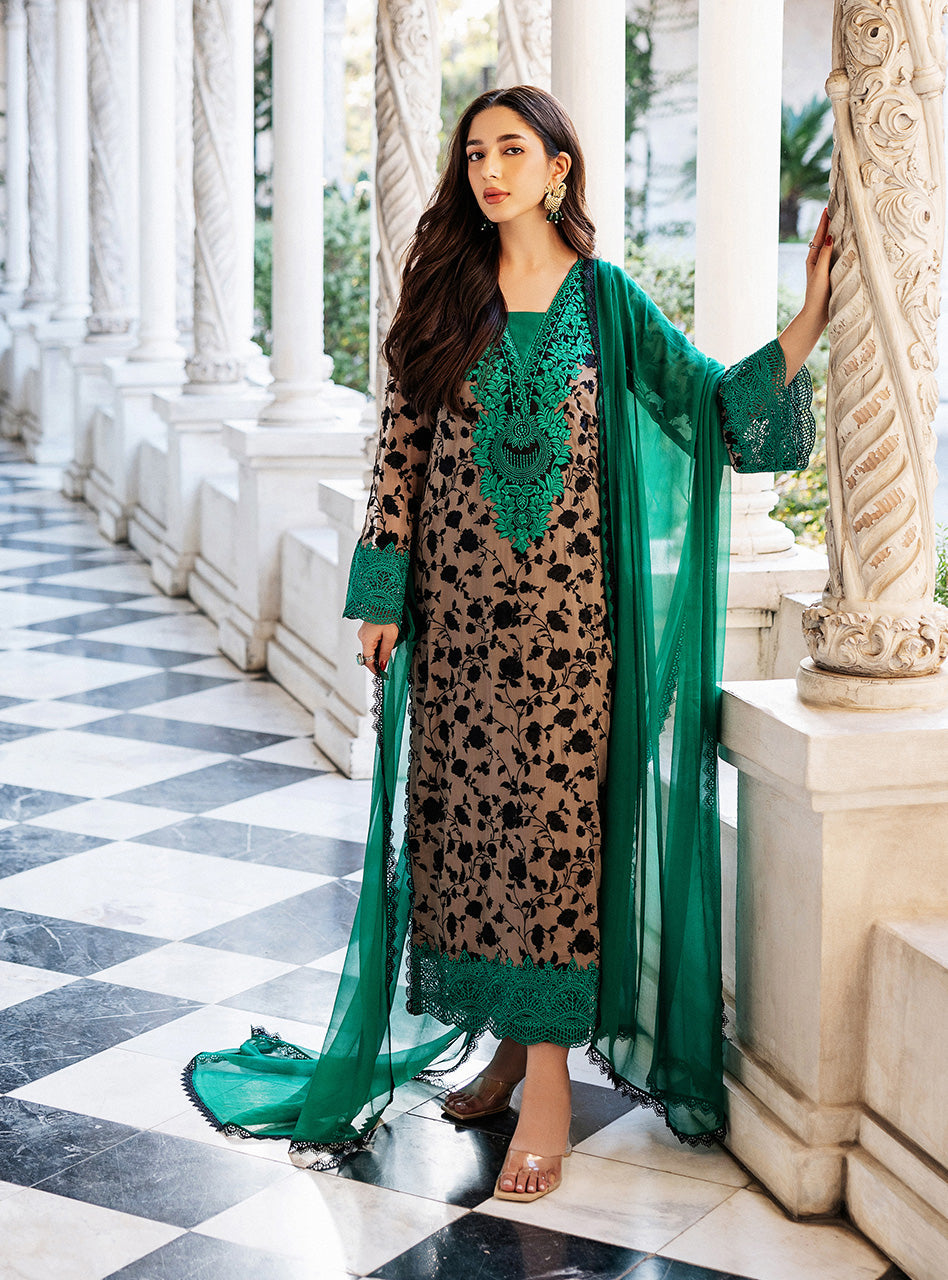 Coffee Embroidered Chiffon Salwar Kameez (3-Piece) - Image 1