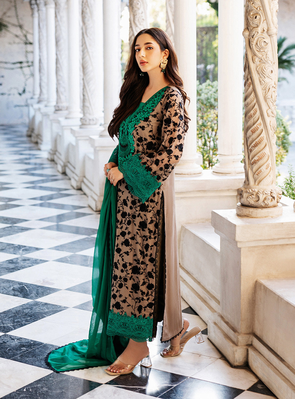 Coffee Embroidered Chiffon Salwar Kameez (3-Piece) - Image 9