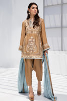 Toast Brown Embroidered Cotton Net Salwar Kameez (3-Piece) - Image 2