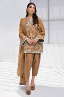 Toast Brown Embroidered Cotton Net Salwar Kameez (3-Piece) - Image 3