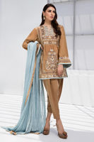 Toast Brown Embroidered Cotton Net Salwar Kameez (3-Piece) - Image 4