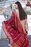 Sand Brown Embroidered Cotton Net Long Shirt (3-Piece) - Image 8