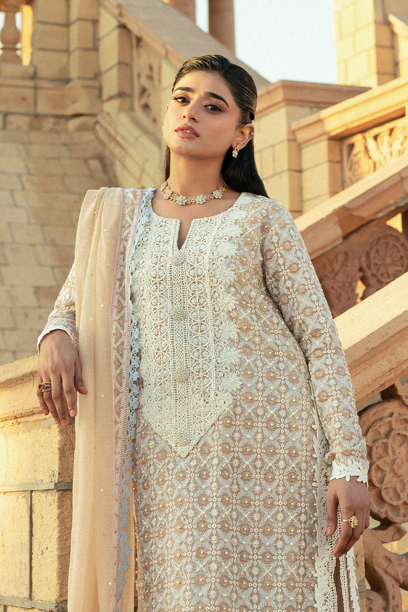 Pakistani Mocha Embroidered Cotton Net Salwar Kameez (3-Piece) - Image 2