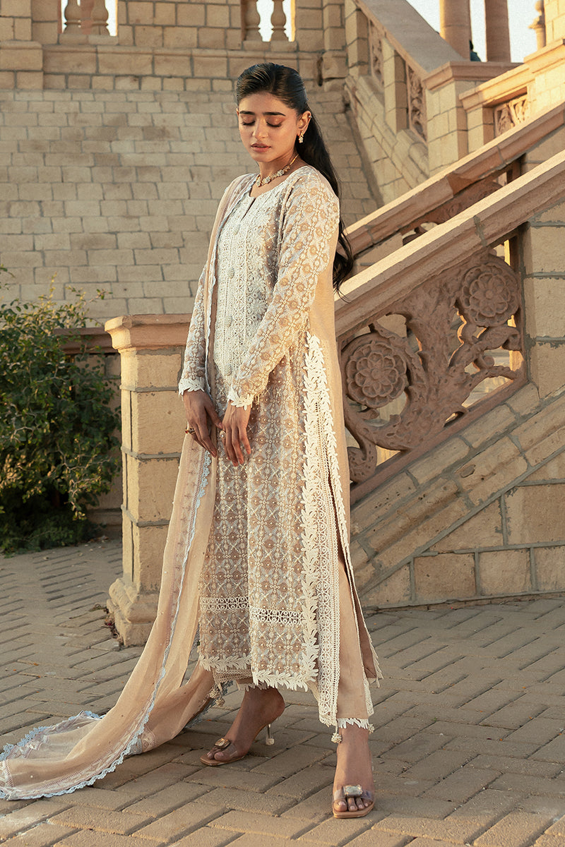 Pakistani Mocha Embroidered Cotton Net Salwar Kameez (3-Piece) - Image 3