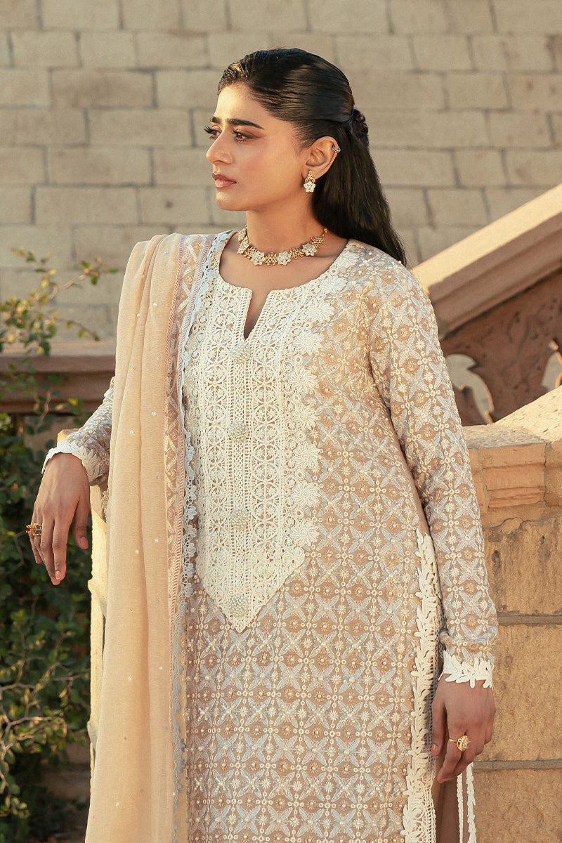 Pakistani Mocha Embroidered Cotton Net Salwar Kameez (3-Piece) - Image 4