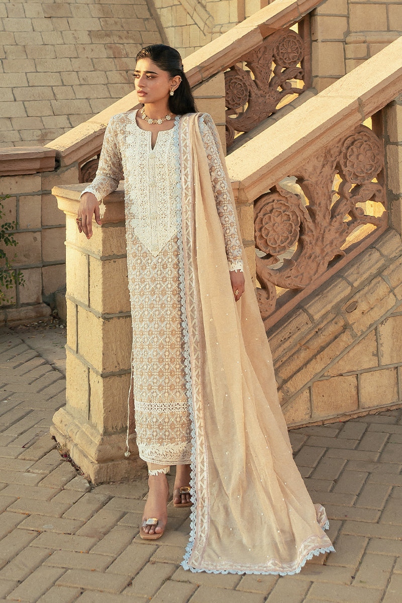 Pakistani Mocha Embroidered Cotton Net Salwar Kameez (3-Piece) - Image 6