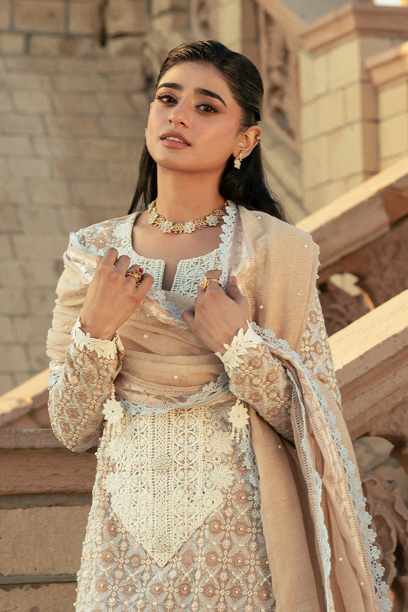 Pakistani Mocha Embroidered Cotton Net Salwar Kameez (3-Piece) - Image 7