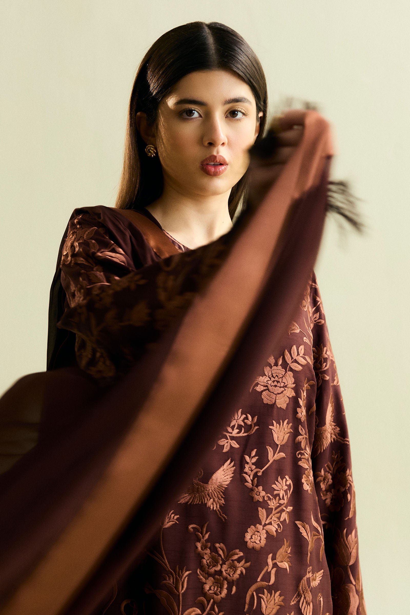 Deep Brown Gara Embroidered Raw Silk Salwar Kameez (3-Piece) - Image 2