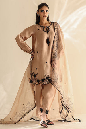 Latte Brown Embroidered Silk Salwar Kameez (3-Piece) - Image 1