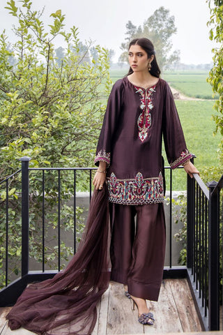 Pakistani Dark Brown Embroidered Pure Silk Salwar Kameez (3-Piece) - Image 2