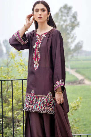 Pakistani Dark Brown Embroidered Pure Silk Salwar Kameez (3-Piece) - Image 3