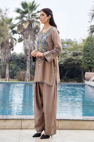 Brown Embroidered Pure Silk Salwar Kameez (3-Piece) - Image 5