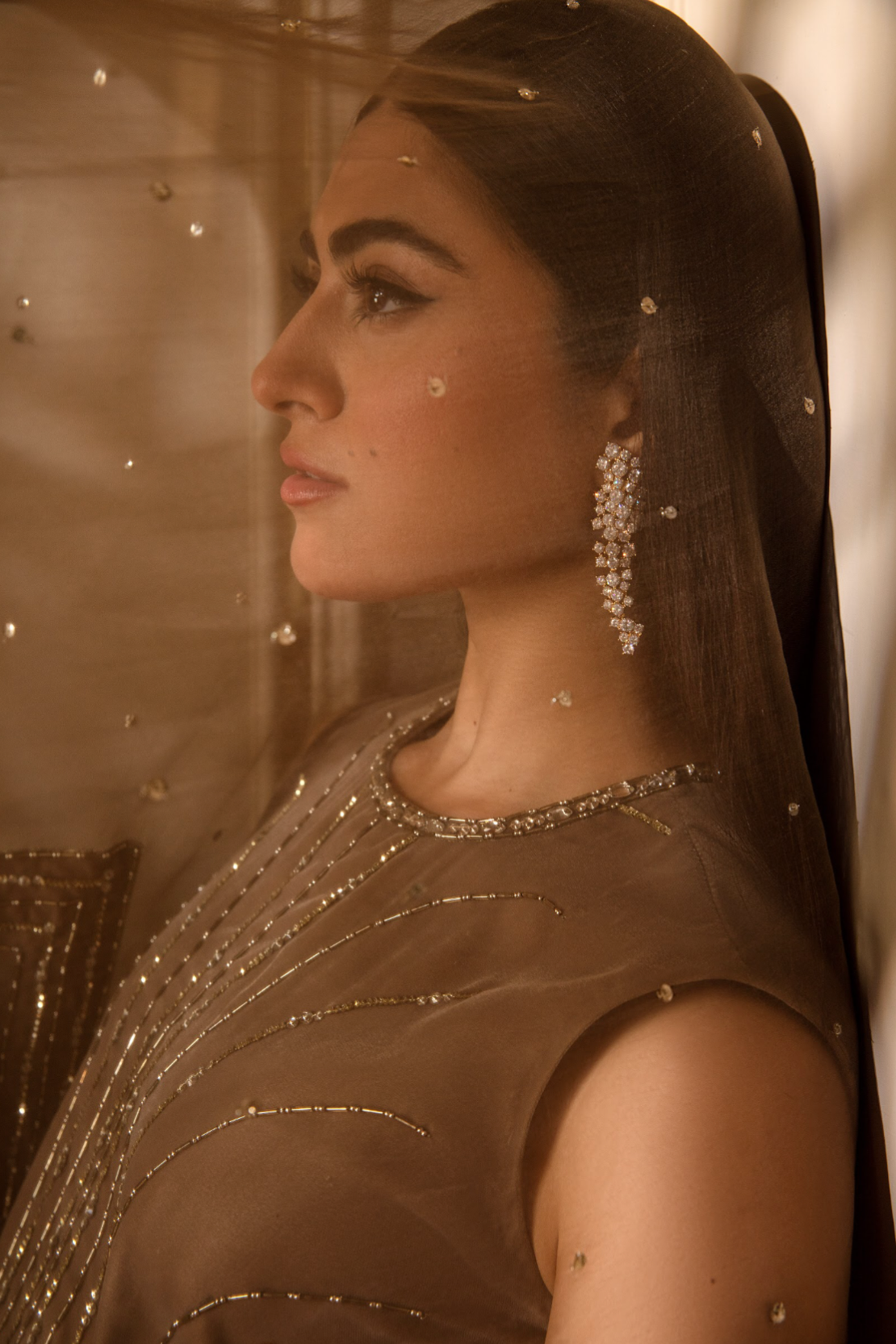 Pakistani Brown Ganga Jamni Velvet Salwar Kameez (3-Piece) - Image 2