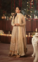 Pakistani Coffee & Champagne Net Lehenga Gown (3-Piece) - Image 2