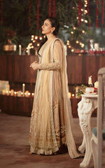 Pakistani Coffee & Champagne Net Lehenga Gown (3-Piece) - Image 4