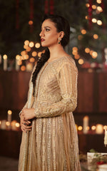 Pakistani Coffee & Champagne Net Lehenga Gown (3-Piece) - Image 5