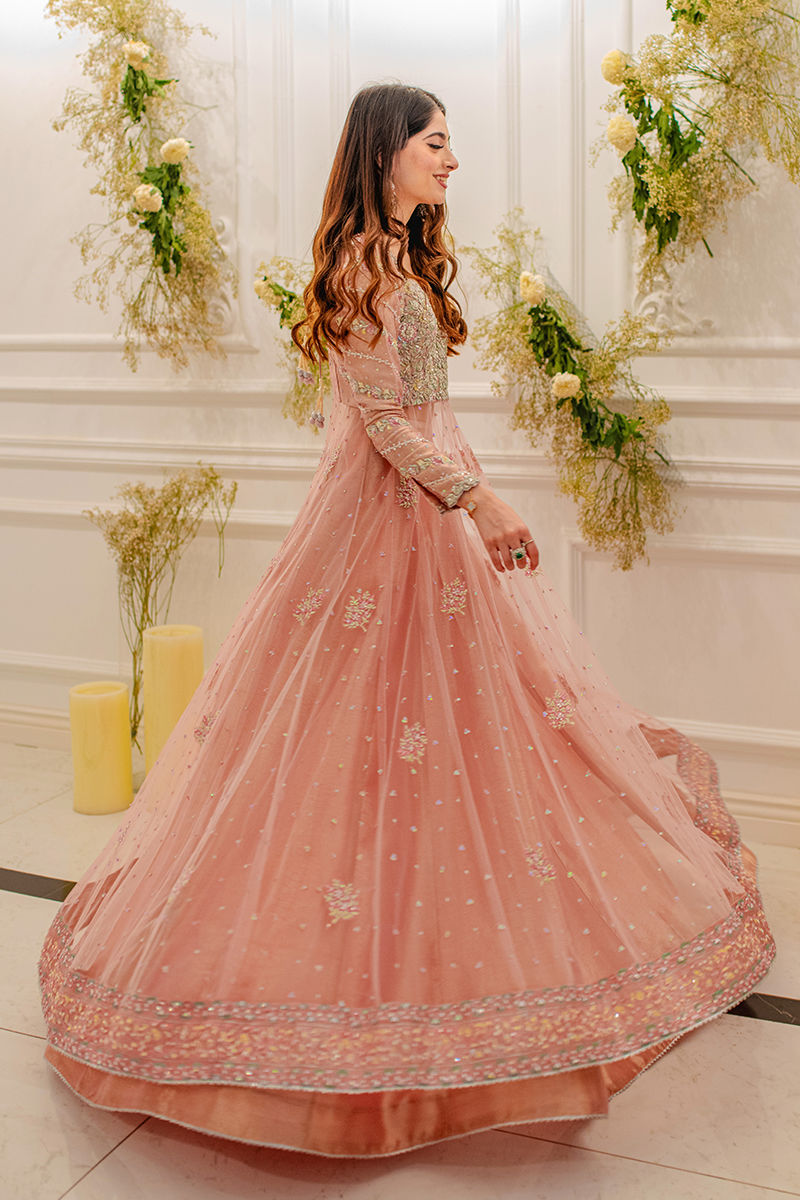 Dusty Coral Hand-Embellished Net & Lama Kalidar (3-Piece) - Image 3