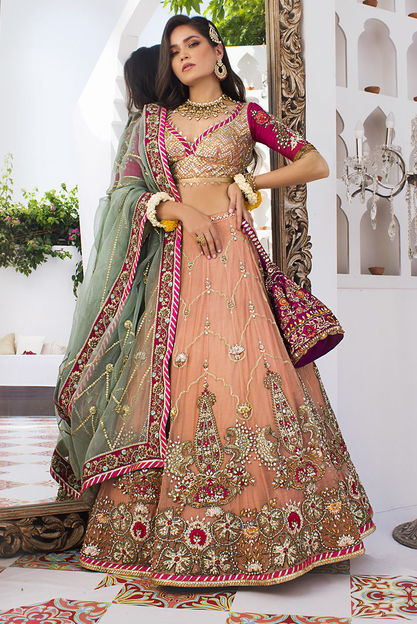 Pakistani Light Coral Zardozi Organza Lehenga (3-Piece) - Image 1
