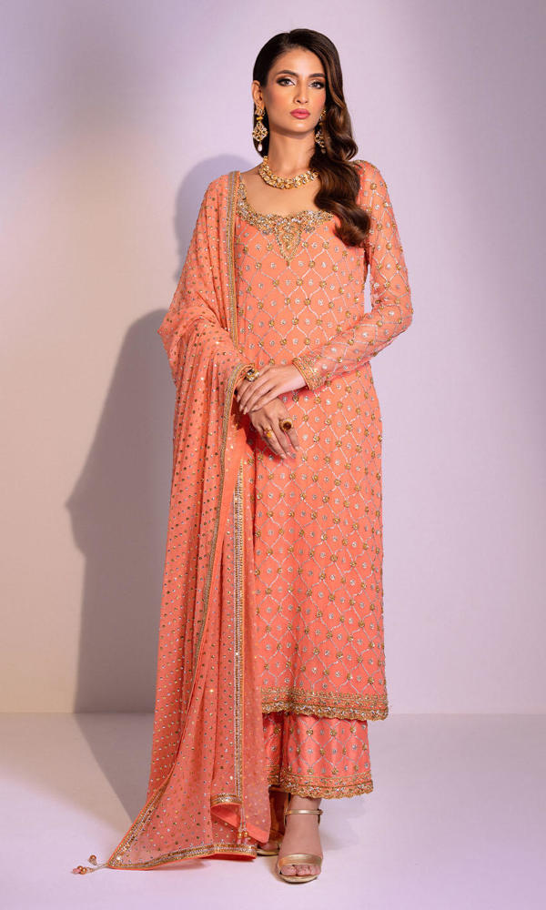 Coral Gold Handworked Chiffon Salwar Kameez (3-Piece) - Image 2