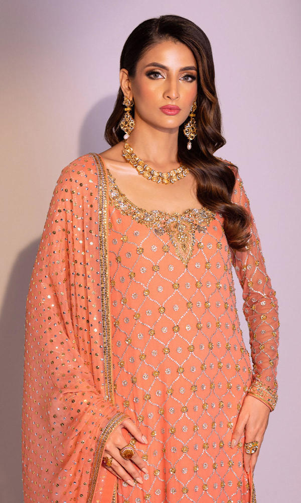 Coral Gold Handworked Chiffon Salwar Kameez (3-Piece) - Image 3