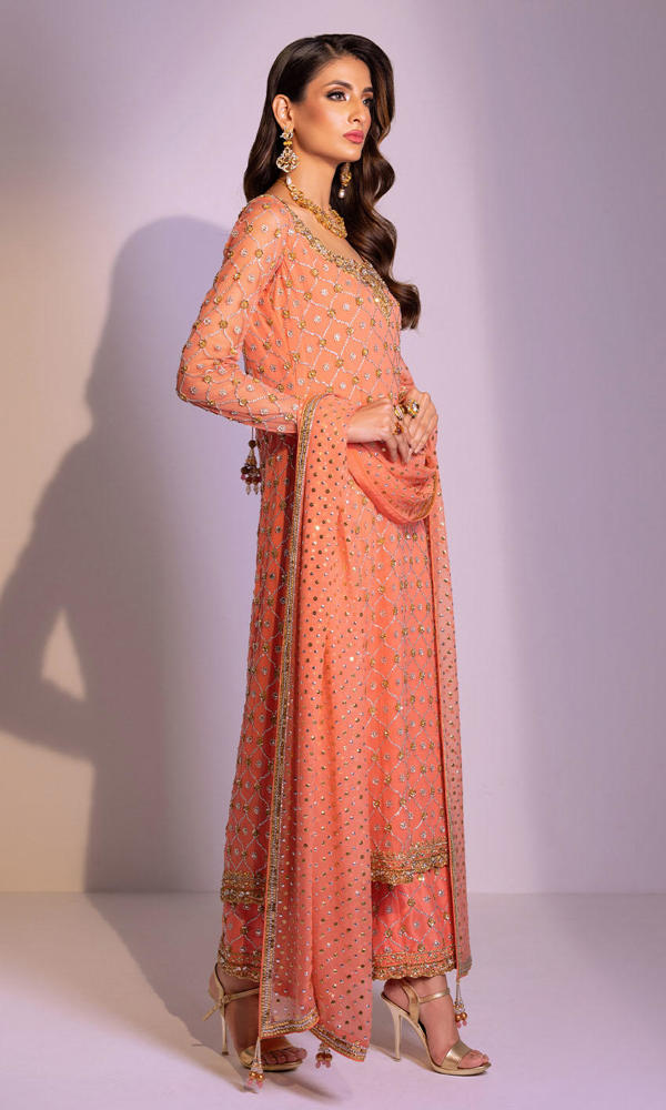 Coral Gold Handworked Chiffon Salwar Kameez (3-Piece) - Image 5