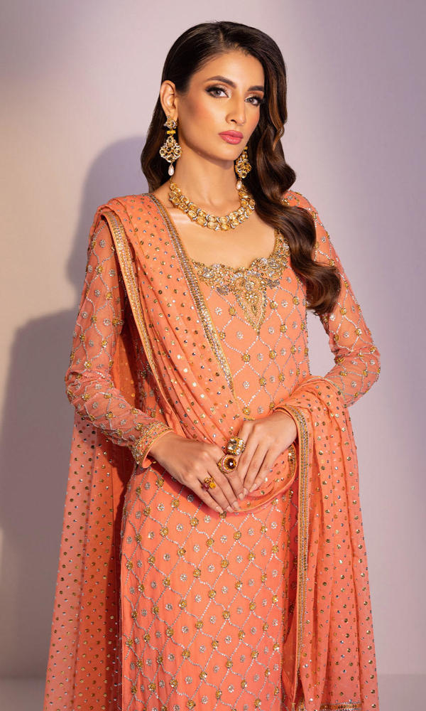 Coral Gold Handworked Chiffon Salwar Kameez (3-Piece) - Image 6