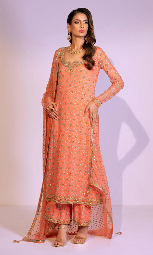 Coral Gold Handworked Chiffon Salwar Kameez (3-Piece) - Image 7