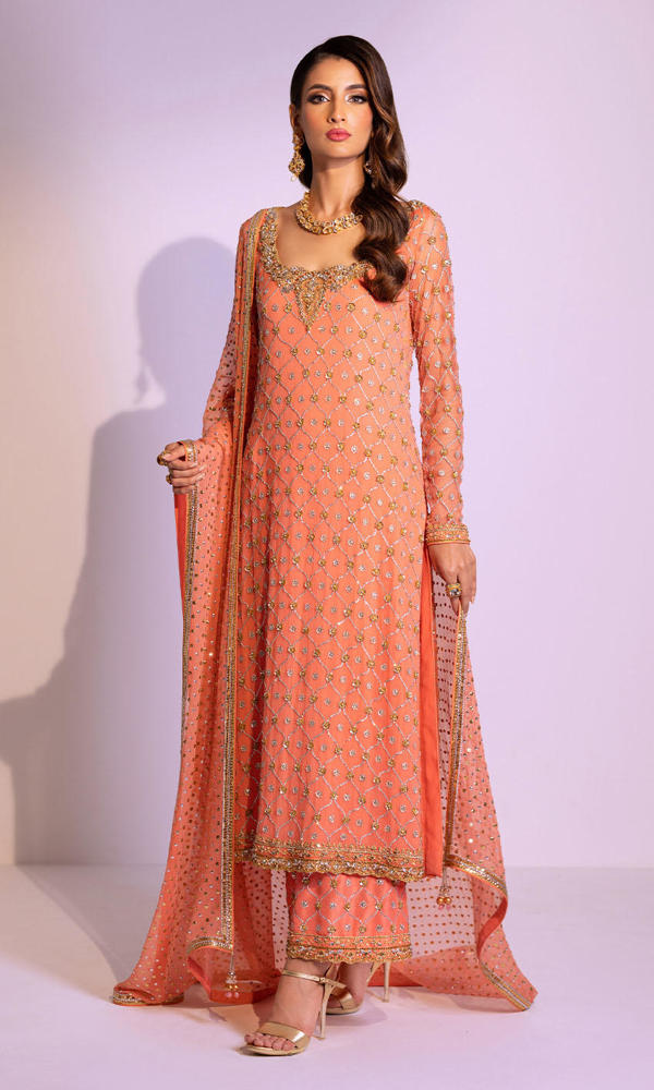 Coral Gold Handworked Chiffon Salwar Kameez (3-Piece) - Image 8