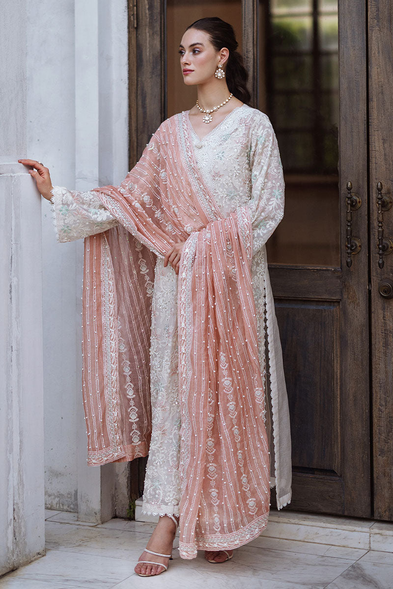 Cream Chikankari Cotton Net Salwar Kameez (3-Piece) - Image 4
