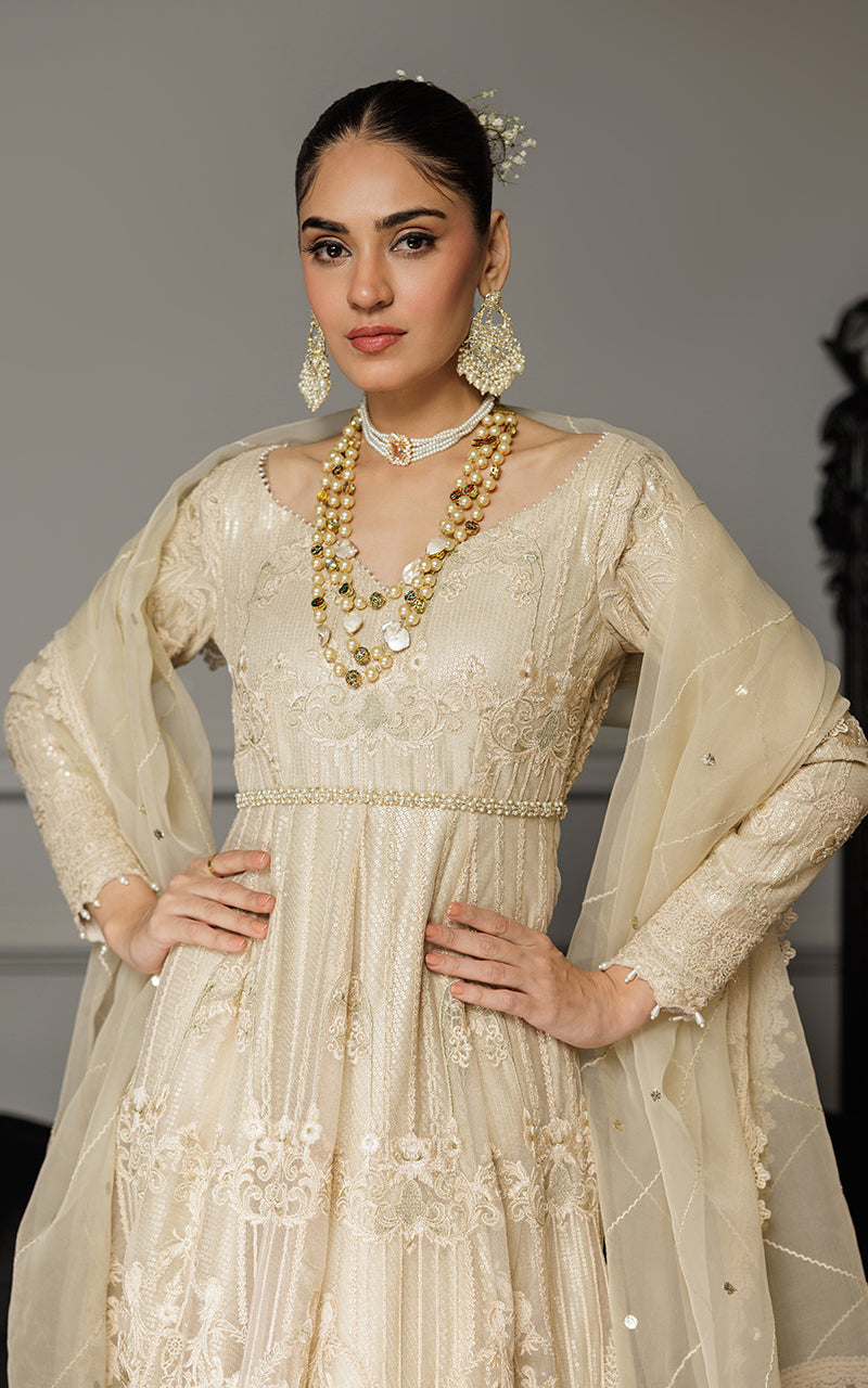 Champagne Embroidered Net Anarkali Dress (2-Piece) - Image 2