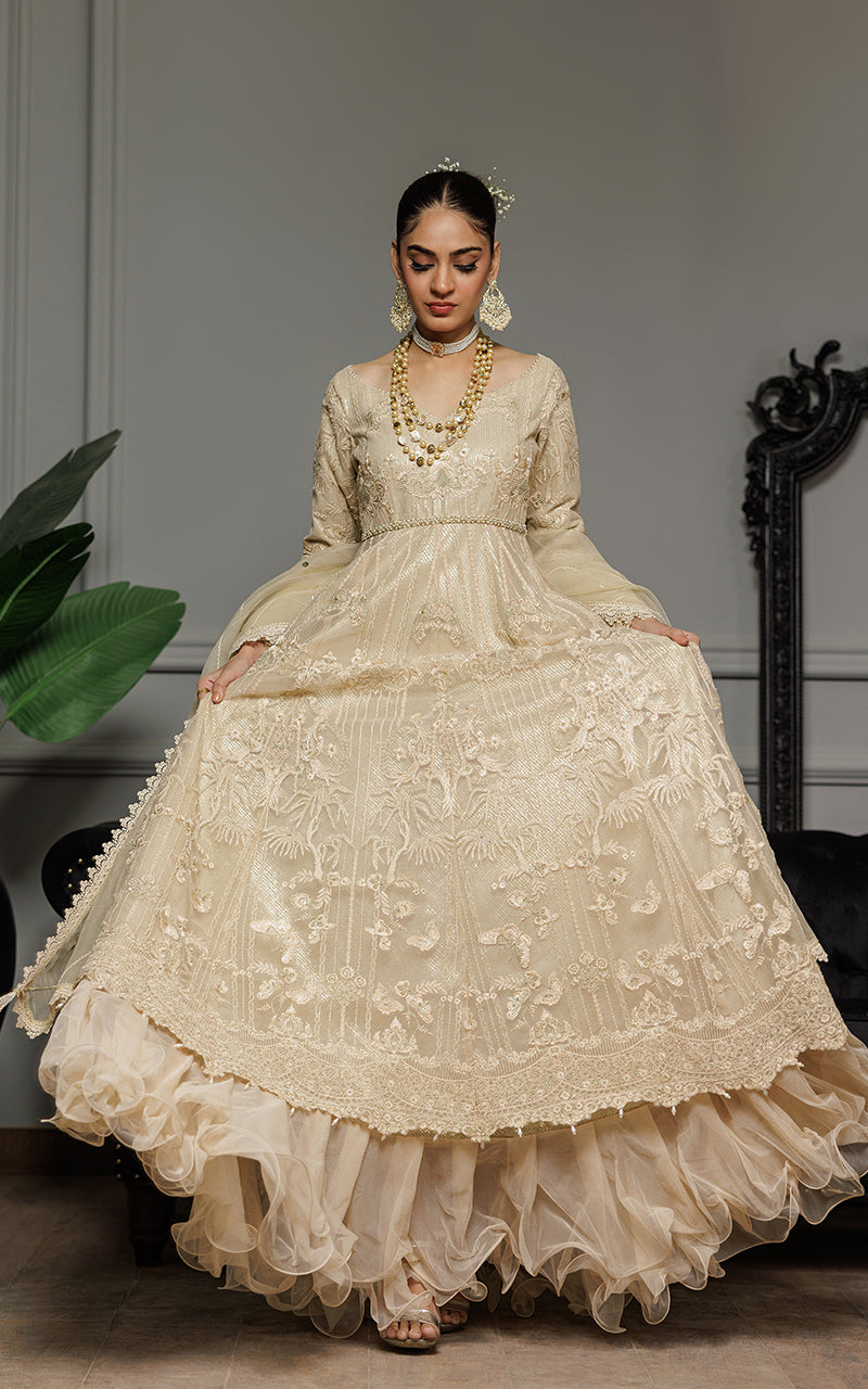 Champagne Embroidered Net Anarkali Dress (2-Piece) - Image 3