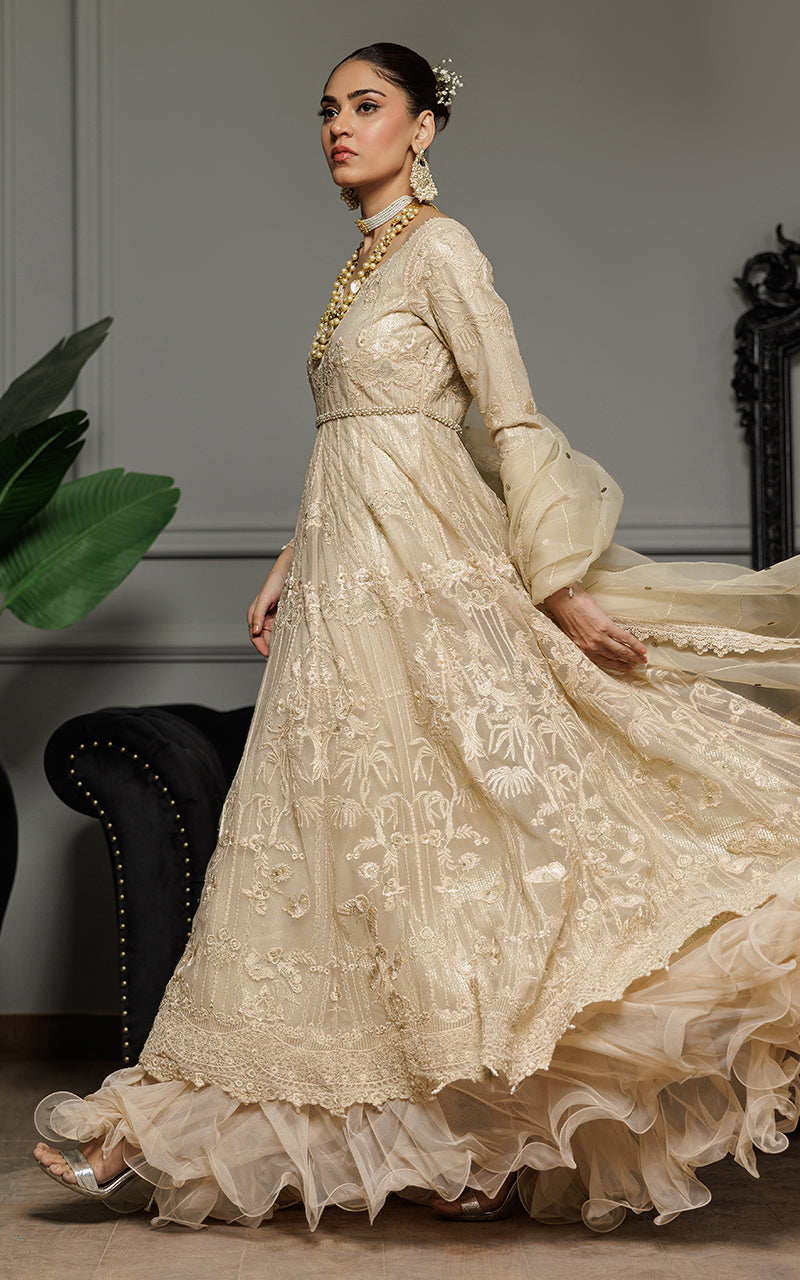 Champagne Embroidered Net Anarkali Dress (2-Piece) - Image 4