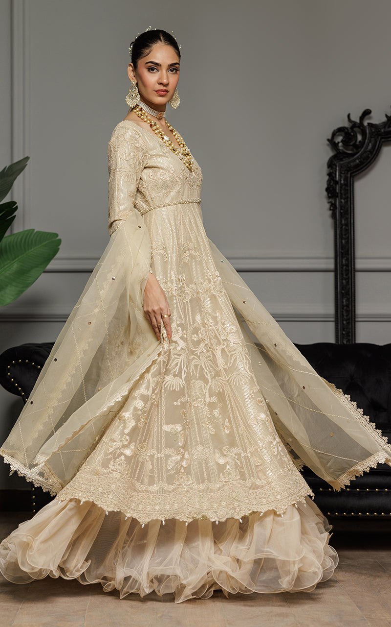 Champagne Embroidered Net Anarkali Dress (2-Piece) - Image 6