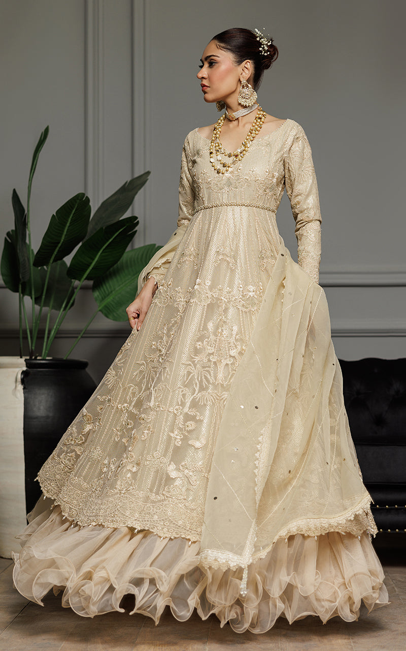 Champagne Embroidered Net Anarkali Dress (2-Piece) - Image 7