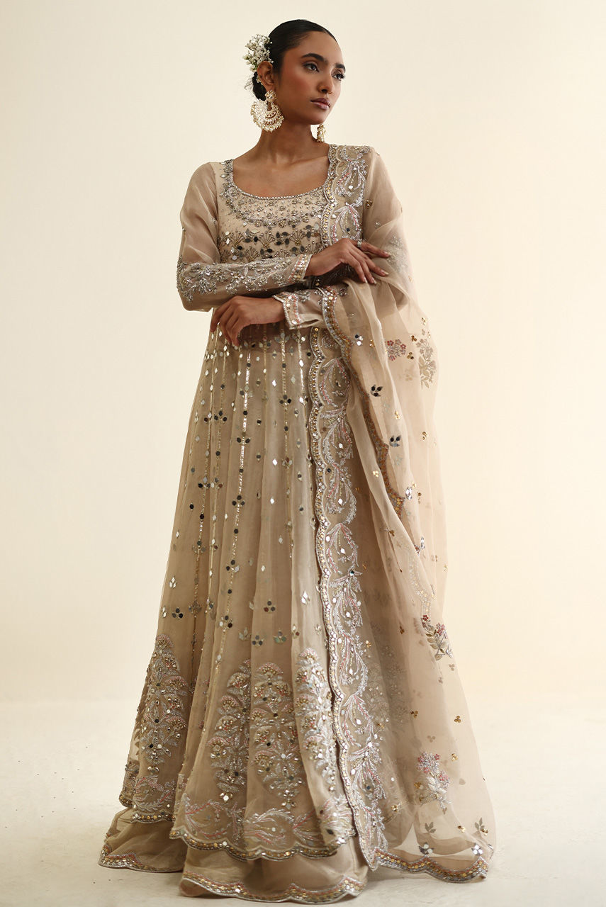 Pakistani Champagne Handworked Organza Maysuri Anarkali (2-Piece) - Image 2