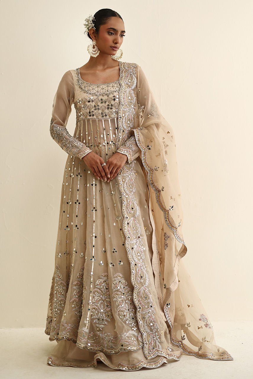 Pakistani Champagne Handworked Organza Maysuri Anarkali (2-Piece) - Image 3