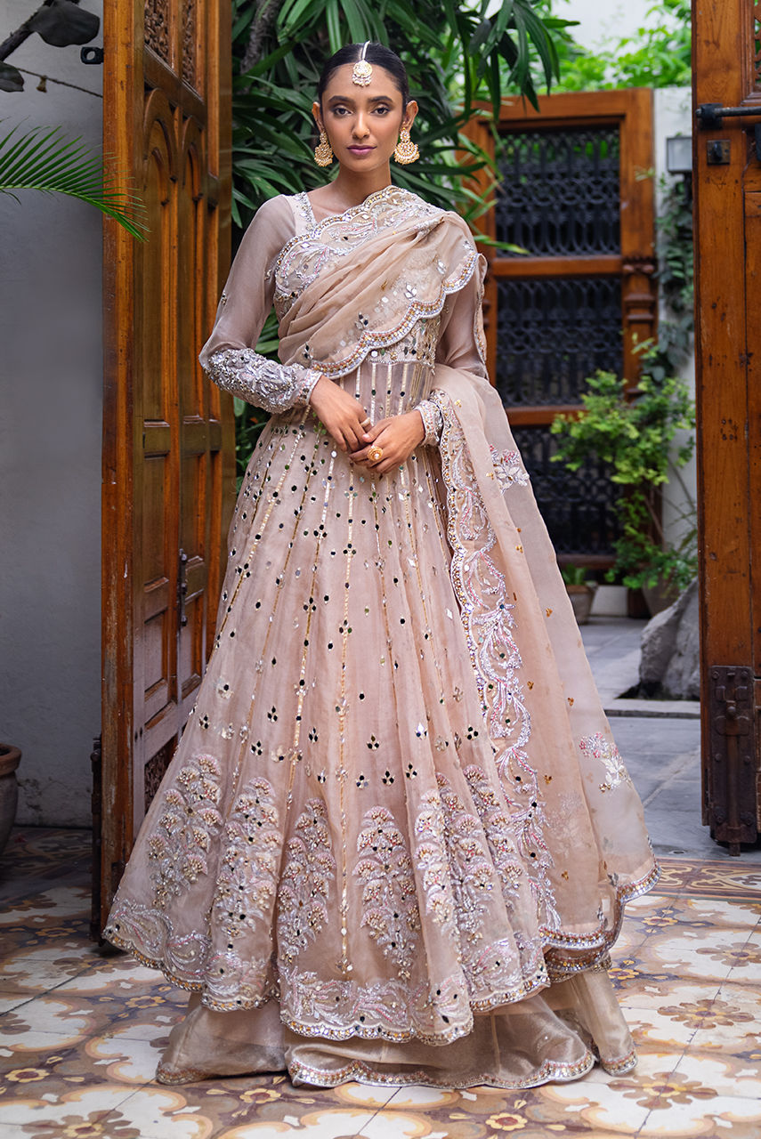 Pakistani Champagne Handworked Organza Maysuri Anarkali (2-Piece) - Image 5
