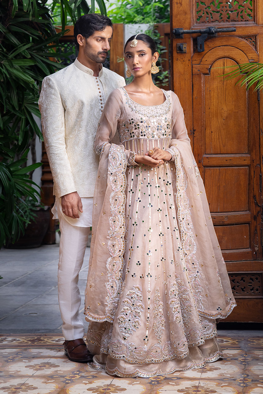 Pakistani Champagne Handworked Organza Maysuri Anarkali (2-Piece) - Image 9