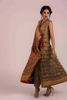 Pakistani Antique Gold Rust Embroidered Net Angrakha Dress (1-Pc) - Image 5