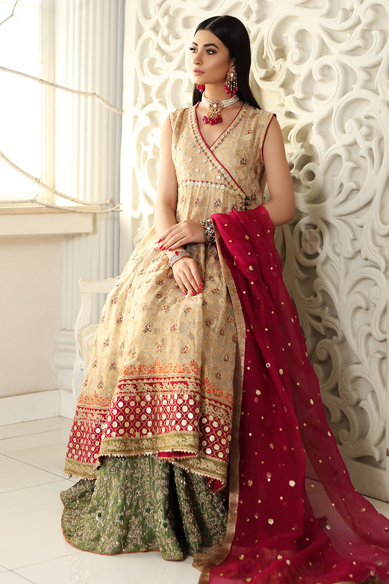Golden Embroidered Net Angarkha Dress (3-Piece) - Image 4