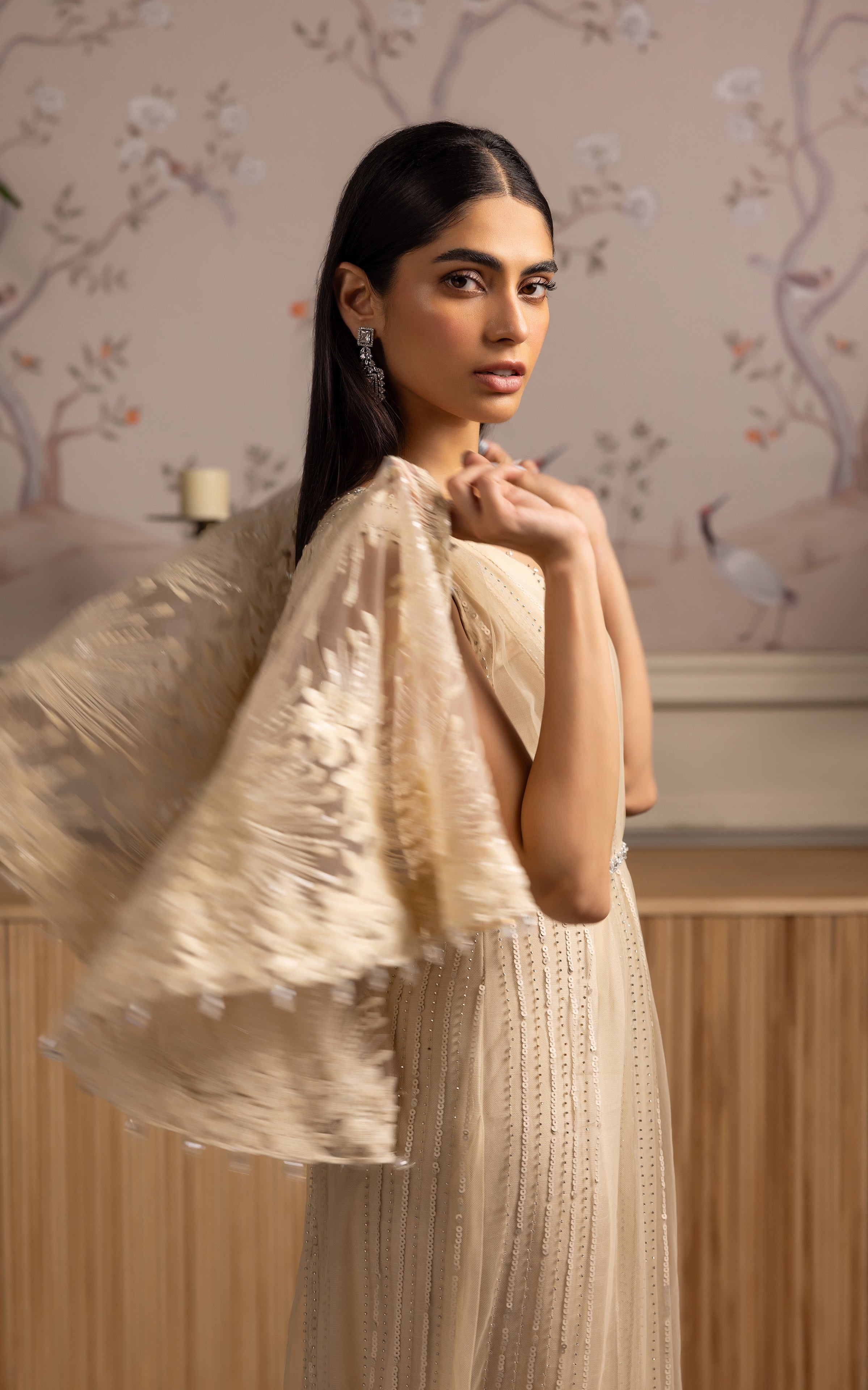 Pakistani Champagne Embroidered Net Cape Dress (2-Piece) - Image 3