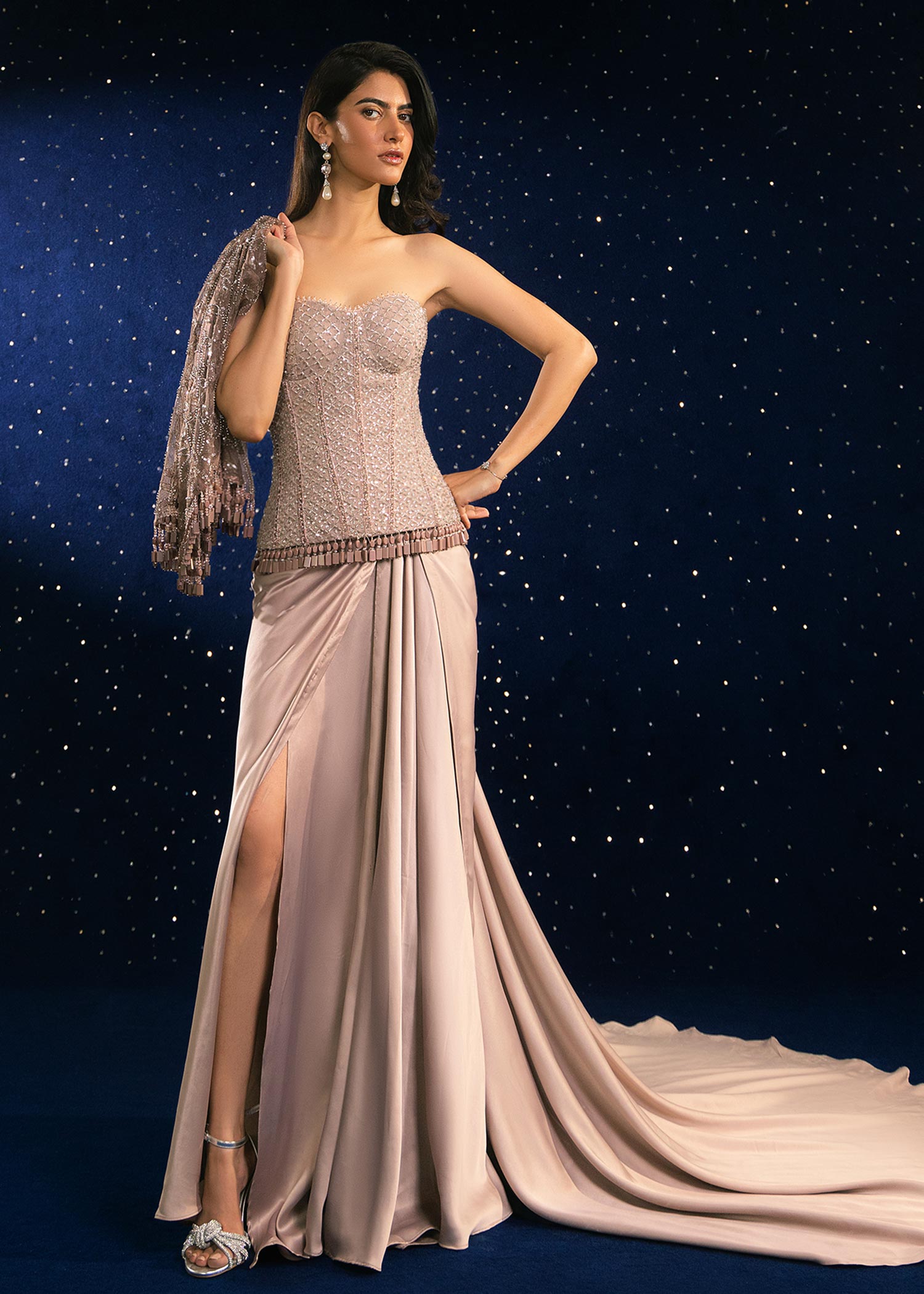 Champagne Embellished Net Corset & Silk Skirt (2-Piece) - Image 1