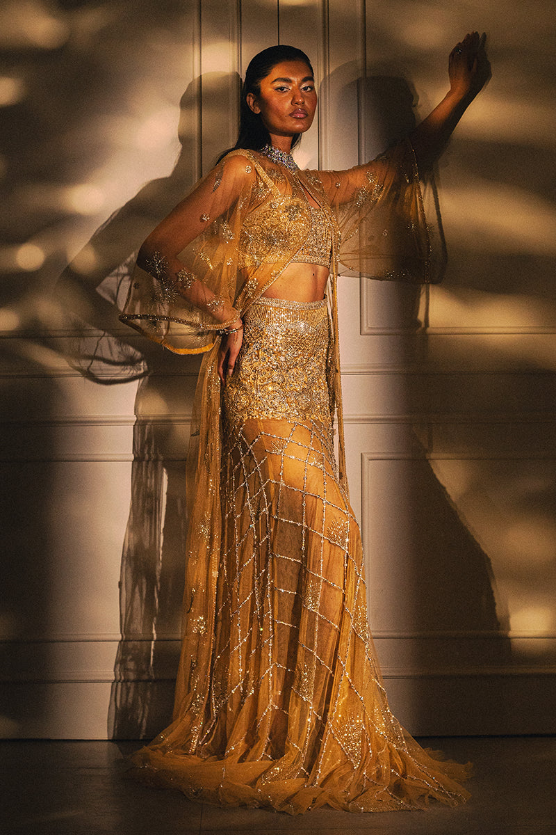 Pakistani Gold Embellished Net Cape Dress (3-Piece) - Image 2